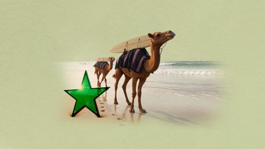 Surfing in Morocco A Booming Destination for Wave Seekers