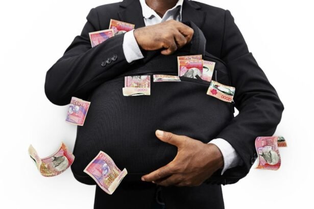 The Role of Supreme Audit Institutions and Professional Service Providers in Combating Corruption