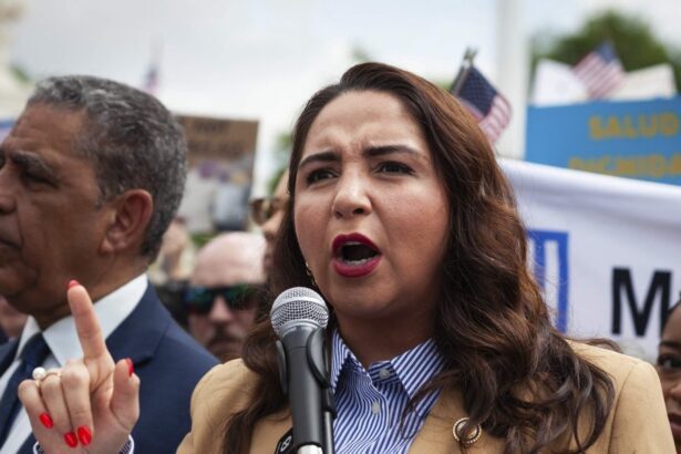 House Democrat Calls on Kristi Noem To Resign Over ICE Lies