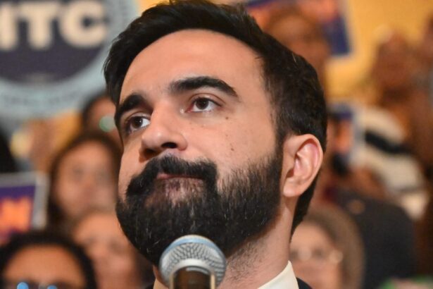 Zohran Mamdani, the "Black Vote," and a New Political Playbook